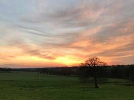 Coucher de soleil : Coucher de soleil, campagne vendéenne, prairie