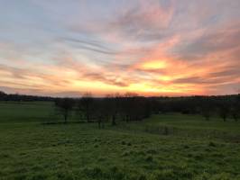 Coucher de soleil : Coucher de soleil, Campagne, prairie