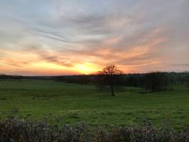 Coucher de soleil : Coucher de Soleil, campagne, prairie, chêne