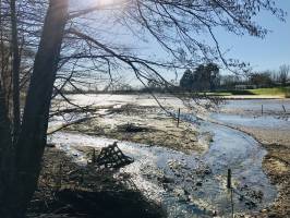 Le Lac de l’espérance : Lac de l’espérance, Pouzauges