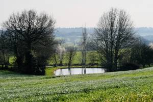 Réserve d’eau : Réserve d’eau, étang, campagne