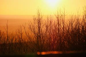 Le Bois de la Folie : Bois de la folie, POUZAUGES, coucher de soleil