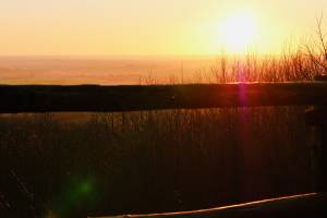 Le Bois de la Folie : Bois de la Folie, coucher de soleil, Pouzauges