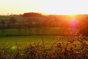 Coucher de soleil : Coucher de soleil, Campagne, champ