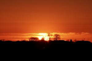 Coucher de soleil : Coucher de soleil, Campagne