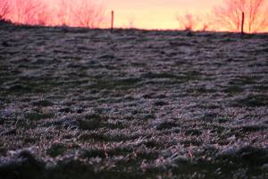 Gelée blanche ? : Gelée blanche, sunrise, lever du jour