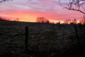 Gelée blanche ?? : Gelée blanche, lever du jour, ciel flamboyant