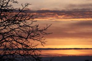 Coucher de soleil : Coucher de soleil, Campagne, Vendée, arbres, givre