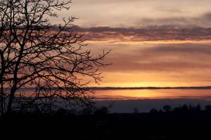 Coucher de soleil : Coucher de soleil, Campagne, Vendée, arbres, givre