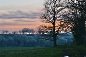 Coucher de soleil : Coucher de soleil, Campagne, Vendée, pluie verglaçante , arbres