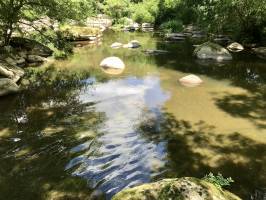 La Sèvre Nantaise : Parc de la Barbinière, St-Laurent-sur-Sèvres, Sèvre Nantaise