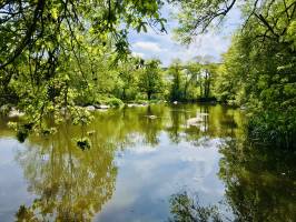 La Sèvre Nantaise : Parc de la Barbinière, St-Laurent-sur-Sèvres, Sèvre Nantaise, Viaduc de Barbin