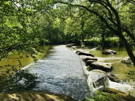 La Sèvre Nantaise : Parc de la Barbinière, St-Laurent-sur-Sèvres, Sèvre Nantaise