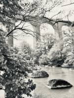 Le Viaduc de Barbin : Viaduc de Barbin, Parc de la Barbinière, St-Laurent-sur-Sèvres, Sèvre Nantaise