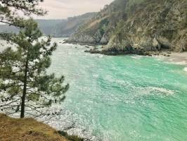 Plage de l’Île Vierge : Plage de l’Île Vierge, Crozon, Finistère, Pins, Falaises, mer turquoise