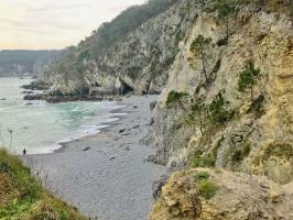 Plage de l’Île Vierge : Plage de l’Île Vierge, Crozon, Finistère, Pins, Falaises, mer turquoise