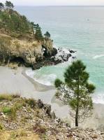 Plage de l’Île Vierge : Plage de l’Île Vierge, Crozon, Finistère, Pins, Falaises, mer turquoise