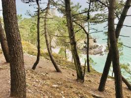 Plage de l’Île Vierge : Plage de l’Île Vierge, Crozon, Finistère, Pins, Falaises, mer turquoise