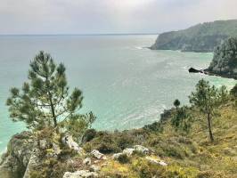 Crozon : Crozon, Finistère, Pins, Falaises, mer turquoise