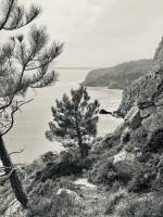 Crozon : Crozon, Finistère, Pins, Falaises, Noir et Blanc