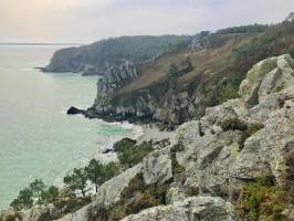 Crozon : Crozon, Finistère, Pins, Falaises