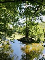 La Sèvre Nantaise : La Sèvre Nantaise, îlot, arbres