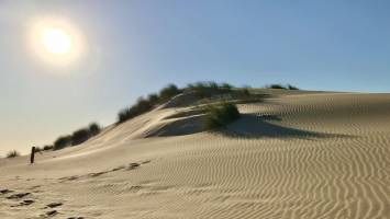 La Plage du Veillon : La Plage du Veillon, Dune