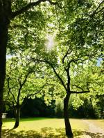 Parc de la Barbinière : Parc de la Barbinière, arbres, chemin de randonnée