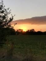 Coucher de soleil : Coucher de soleil, Fruitier, champ d’herbe, le Boupère