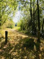 Zone de Loisirs des Brosses : Zone de Loisirs des Brosses, La Merlatière, Bois