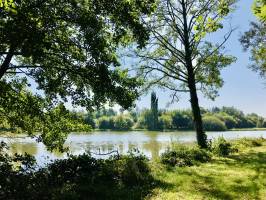 Zone de Loisirs des Brosses : Zone de Loisirs des Brosses, La Merlatière, Bois