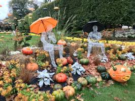Halloween : Halloween, Jardin des Plantes, Rouen, Citrouilles