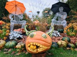 Halloween : Halloween, Jardin des Plantes, Rouen, Citrouilles
