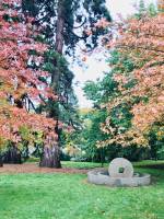 Meule en pierre : Meule, Jardin des Plantes, Rouen