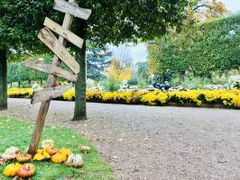 Le Jardin des Plantes : Jardin des Plantes, Rouen, Halloween, Pancartes en bois