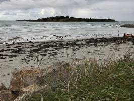 Le Dossen : Plage du Dossen, Santec, Île de Siec, Goëmon