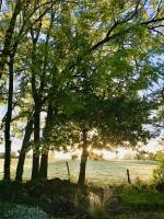 Lever du jour : Lever du jour, Campagne, champ d’herbe, arbres