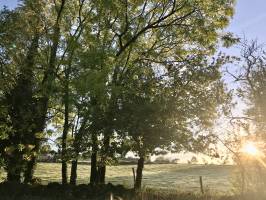 Lever du jour : Lever du jour, Campagne, champ d’herbe, arbres