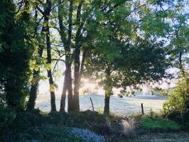 Lever du jour : Lever du jour, Campagne, champ d’herbe, arbres