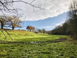 Le Pin : Le Pin, Deux Sèvres, prairie, boue, traces de tracteur