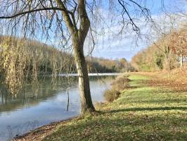 Le Pin : Le Pin, parc, lac, arbres, automne, feuilles mortes, saule pleureur