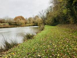 Le Pin : Le Pin, parc, lac, arbres, automne, feuilles mortes