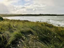 Plougoulm : Plougoulm, mer, dune, herbes sauvages