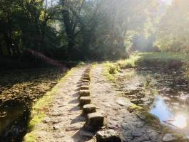 Le Parc de la Barbinière : Le Parc de la Barbinière, St Laurent-sur-Sèvre, pierres, pont