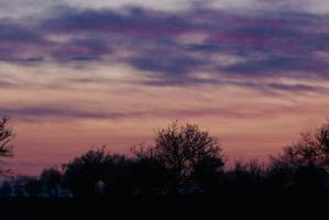 Coucher de soleil : Coucher de soleil, arbustes, nuages