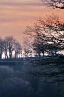 Coucher de soleil : Coucher de soleil, Campagne, arbres givrés