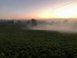 Coucher de soleil : Coucher de soleil, Campagne, Arbres, champ d’herbe