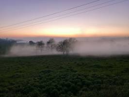 Coucher de soleil : Coucher de soleil, Campagne, Arbres, champ d’herbe