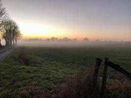 Coucher de soleil : Coucher de soleil, Campagne, Arbres, champ d’herbe