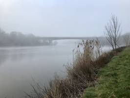 Saint-Hilaire-le-Vouhis : Saint-Hilaire-le-Vouhis, Lac de la Vouraie, brouillard